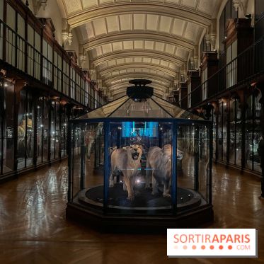 Grande Galerie de l'évolution- visuels 2024 - image00013