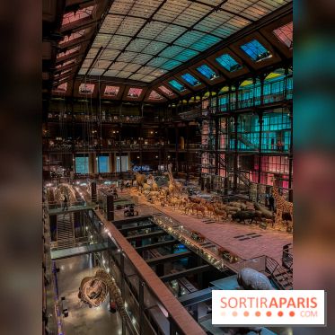 Grande Galerie de l'évolution- visuels 2024