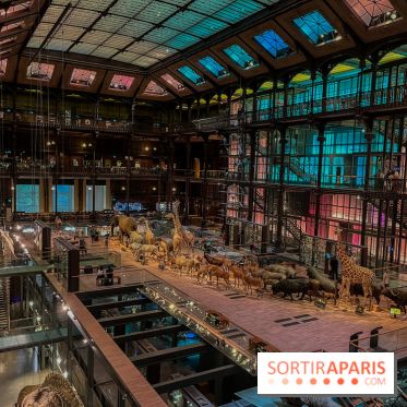 Grande Galerie de l'évolution- visuels 2024