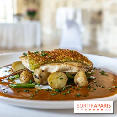 L'Abbaye de Royaumont - les photos -  la table de Royaumont - plat - volaille