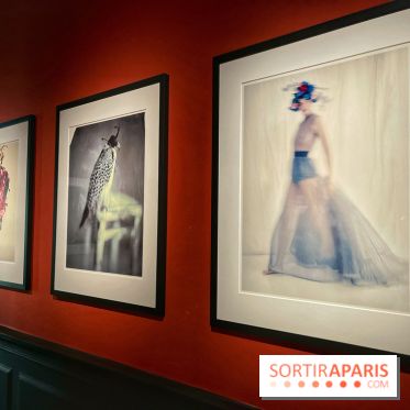 Paolo Roversi - IMG 9489