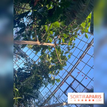 Zoo de Vincennes, Parc zoologique 2024 - nos photos - image00033