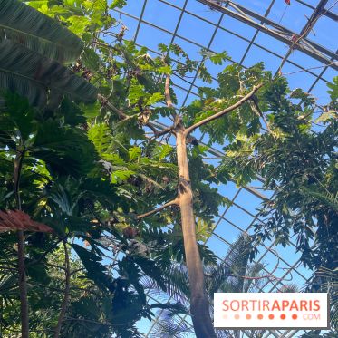 Zoo de Vincennes, Parc zoologique 2024 - nos photos - image00032