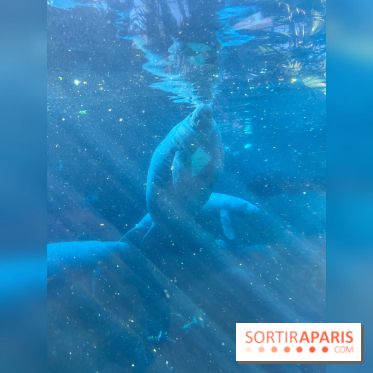 Zoo de Vincennes, Parc zoologique 2024 - nos photos - image00025