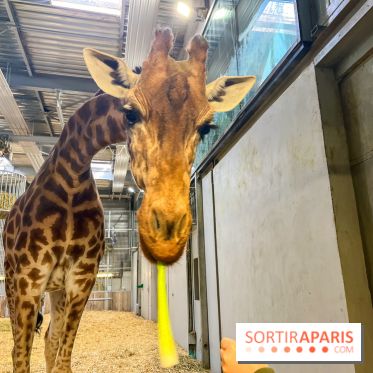 Zoo de Vincennes, Parc zoologique 2024 - nos photos - image00019