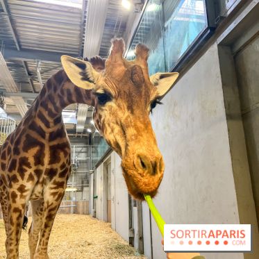 Zoo de Vincennes, Parc zoologique 2024 - nos photos - image00020