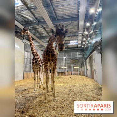 Zoo de Vincennes, Parc zoologique 2024 - nos photos - image00021