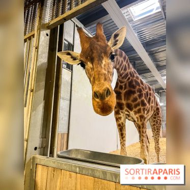 Zoo de Vincennes, Parc zoologique 2024 - nos photos - image00002