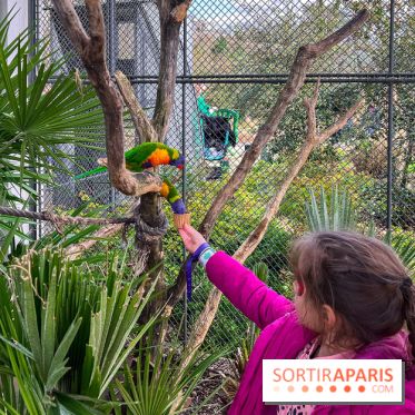 Visuels enfants, attractions, parc, Jardin d'Acclimatation, animaux, zoo - image00034