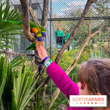 Visuels enfants, attractions, parc, Jardin d'Acclimatation, animaux, zoo - image00043