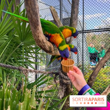 Visuels enfants, attractions, parc, Jardin d'Acclimatation, animaux, zoo - image00045