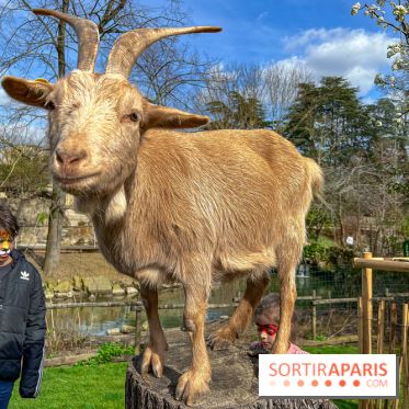 Visuels enfants, attractions, parc, Jardin d'Acclimatation, animaux, zoo - image00052