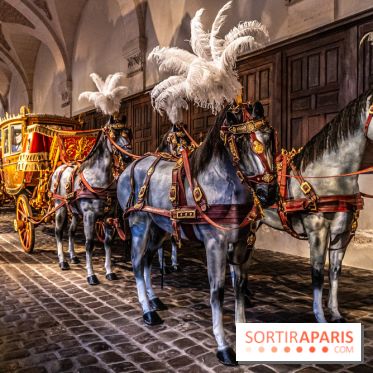 La Galerie des Carrosses de Versailles, le musée gratuit aux Grandes Ecuries -  A7C8933