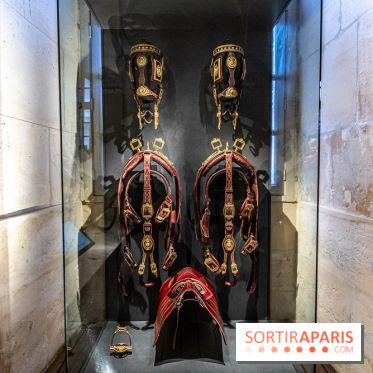 La Galerie des Carrosses de Versailles, le musée gratuit aux Grandes Ecuries -  A7C8947