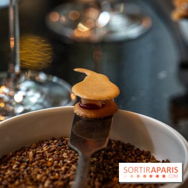 SPA et déjeuner gastronomique au Burgundy, la Parenthèse étoilée du Baudelaire  -  A7C8428