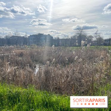 Parc des Impressionnistes à Clichy - nos photos - image00006