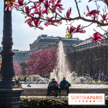 Les magnolias du Jardin du Palais Royal  - printemps - visuel Paris - fontaine - chaleur