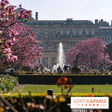 Les magnolias du Jardin du Palais Royal  - A7C04632