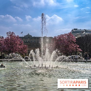 Les magnolias du Jardin du Palais Royal  - printemps - visuel Paris - fontaine - chaleur - beau temps