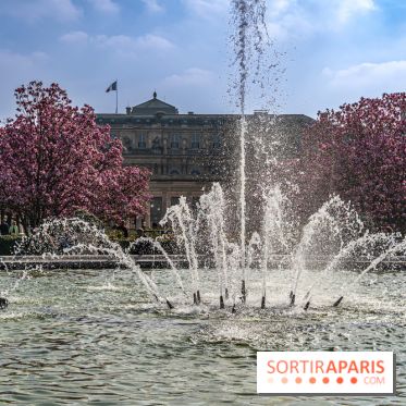 Les magnolias du Jardin du Palais Royal  - printemps - visuel Paris - fontaine - chaleur - beau temps