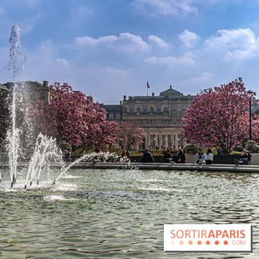 Les magnolias du Jardin du Palais Royal  - printemps - visuel Paris - fontaine - chaleur - beau temps