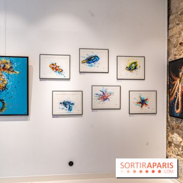 Exposition street-art Sax à Paris : A travers l'océan -  A7C9103