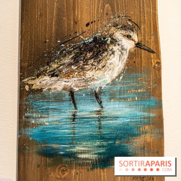 Exposition street-art Sax à Paris : A travers l'océan -  A7C9120