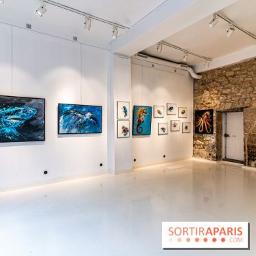 Exposition street-art Sax à Paris : A travers l'océan -  A7C9130