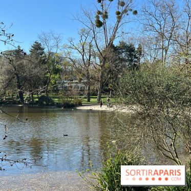 Lac de Saint-Mandé - nos photos - WhatsApp Image 2024 03 22 à 16.15.30 6feb9081