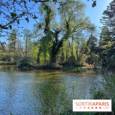 Lac de Saint-Mandé - nos photos - WhatsApp Image 2024 03 22 à 16.12.39 4c5a0a5e