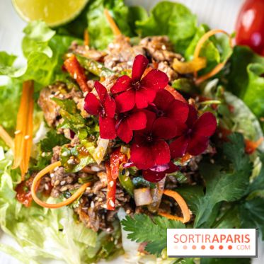 Didi Saigon, le restaurant vietnamien de Villiers sur Marne (94) -  salade de bœuf vietnamienne