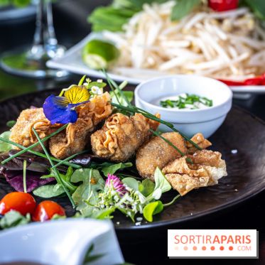 Didi Saigon, le restaurant vietnamien de Villiers sur Marne (94) -  raviolis frits