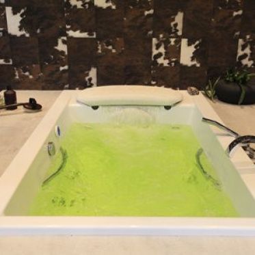 Foire de Paris 2010 
Crédit photo : Arfoucha 