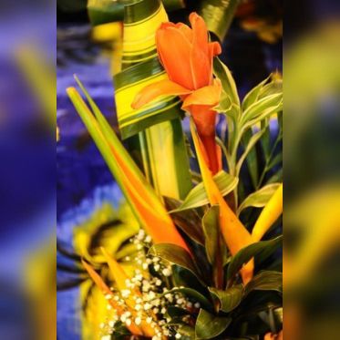 Foire de Paris 2010 
Crédit photo : Arfoucha 