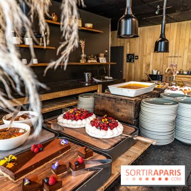 Le brunch exceptionnel du Château de Villiers-le-Mahieu dans les Yvelines avec animations -  A7C9383