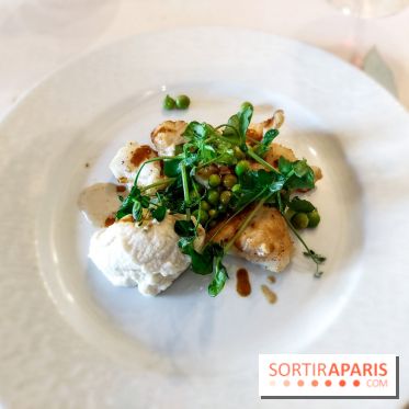 Au Cœur de la Forêt, nos photos du restaurant - 20240323 135342