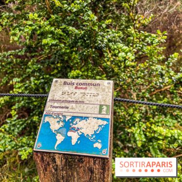 Arbor&Sens, l'Arboretum de Franchard en forêt de Fontainebleau - les photos - IMG 7955