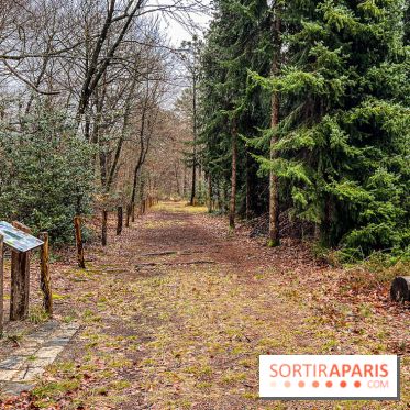 Arbor&Sens, l'Arboretum de Franchard en forêt de Fontainebleau - les photos - IMG 7940