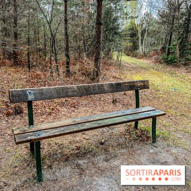 Arbor&Sens, l'Arboretum de Franchard en forêt de Fontainebleau - les photos - IMG 7934