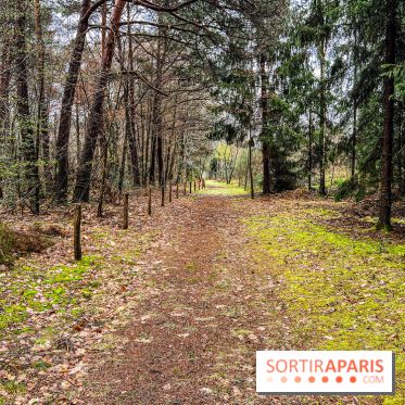 Arbor&Sens, l'Arboretum de Franchard en forêt de Fontainebleau - les photos - IMG 7932