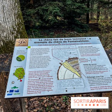 Arbor&Sens, l'Arboretum de Franchard en forêt de Fontainebleau - les photos - IMG 7916