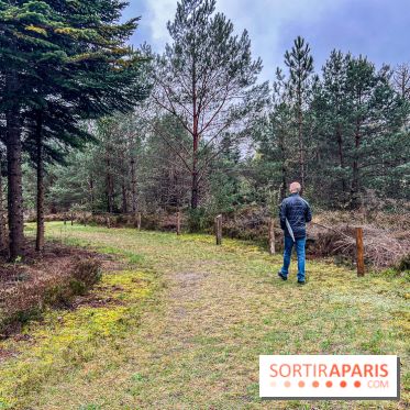 Arbor&Sens, l'Arboretum de Franchard en forêt de Fontainebleau - les photos - IMG 7913