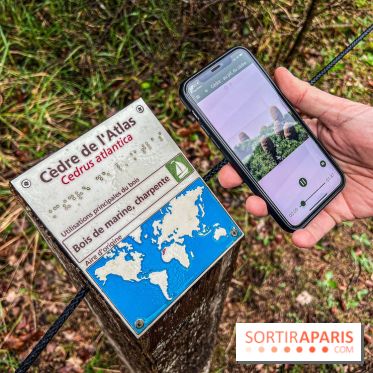 Arbor&Sens, l'Arboretum de Franchard en forêt de Fontainebleau - les photos - IMG 7907