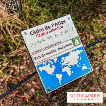 Arbor&Sens, l'Arboretum de Franchard en forêt de Fontainebleau - les photos - IMG 7905