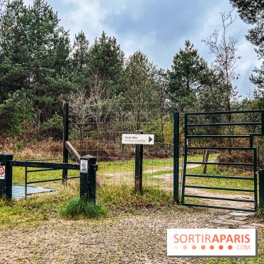 Arbor&Sens, l'Arboretum de Franchard en forêt de Fontainebleau - les photos - IMG 7900