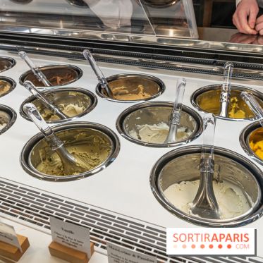 Brigat' Gelato - la glacerie Place des Vosges -  A7C9900