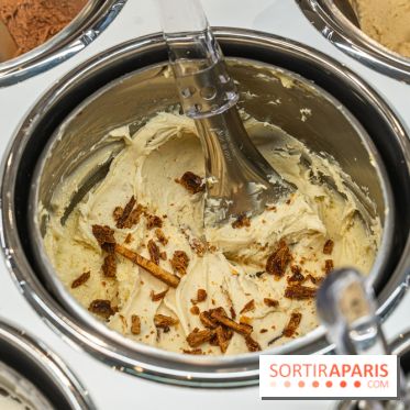 Brigat' Gelato - la glacerie Place des Vosges -  A7C9908