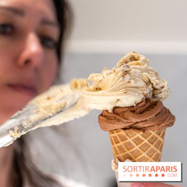 Brigat' Gelato - la glacerie Place des Vosges -  A7C9914