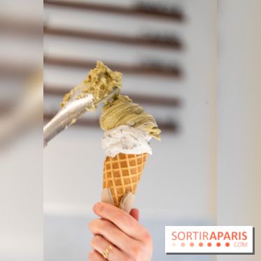 Brigat' Gelato - la glacerie Place des Vosges -  A7C9926