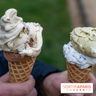 Brigat' Gelato - la glacerie Place des Vosges -  A7C9934